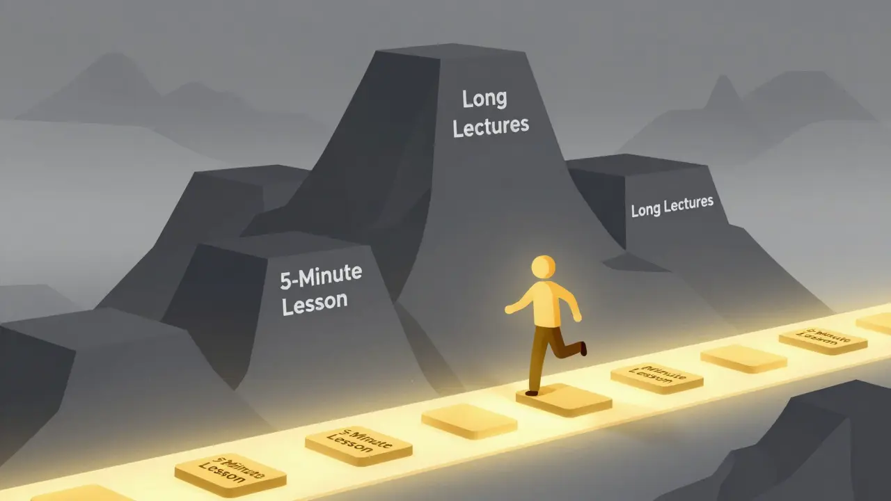 Visual metaphor comparing overwhelming long lectures to easy micro-lessons